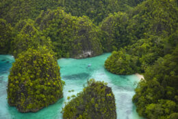 West Papua, Kaimana, Triton Bay 2026 (25/41)